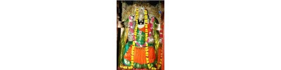 புன்னை நல்லூர் மாரியம்மன் - தமிழ்நாடு